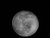 Moon, yesterday
