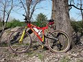 Picture Title - My Proflex