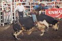 Picture Title - Bullrider