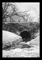 Picture Title - Winter Bridge