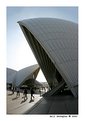 Picture Title - Sydney Opera House