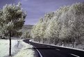 Picture Title - infrared