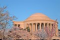 Picture Title - The Jefferson Memorial