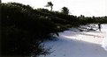 Picture Title - Morrocoyero