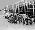 Picture Title - Winter in Ann Arbor,MI