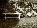 Picture Title - Bench and Shadows
