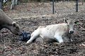 Picture Title - Hey, where'd you come from ?