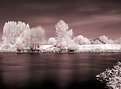 Picture Title - Infrared River View