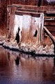 Picture Title - Salton Sea Reflection