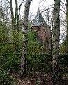 Picture Title - forest worship