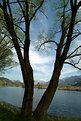 Picture Title - Landscape from Adda river