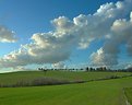 Picture Title - Tuscany country-side