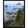 Picture Title - Ecola View