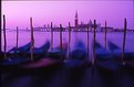 Picture Title - Gondolas at Dawn, St Mark's Square, Venice