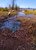 Tidal Flats on the Fraser