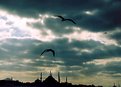 Picture Title - high over the mosque