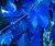 Blue Foliage