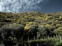 Picture Title - Capo Miseno, Naples Italy