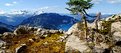 Picture Title - Wind TwistedTree over Alpine Lake