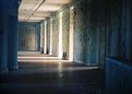 Picture Title - Many More Halls