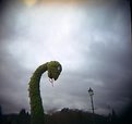 Picture Title - Holga Nessie