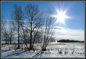 Picture Title - Winter Sunshine!