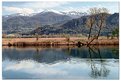 Picture Title - Walking beside a river