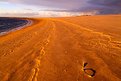 Picture Title - Sand Curve