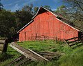 Picture Title - Central Coast Barnyard