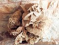 Picture Title - Desert Rose - Tunisia