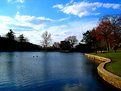 Picture Title - Water and Sky