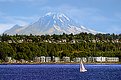 Picture Title - Mount Rainier