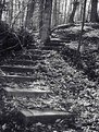 Picture Title - Going Nowhere