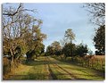 Picture Title - Rural Path