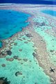 Picture Title - grrrreat barrier reef
