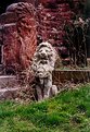 Picture Title - Stone Lion