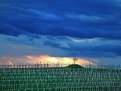 Picture Title - Sunset in the vineyard