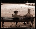 Picture Title - Old Friends