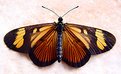 Picture Title - Symmetry