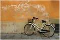 Picture Title - bicycle