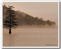 Picture Title - A Misty Morning