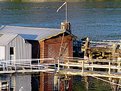 Picture Title - Gig Harbor Docks