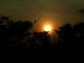 Picture Title - a Beautiful  sunset in the Kruger National Park