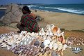 Picture Title - Sea, Sand and Shells