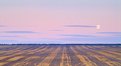Picture Title - Dawn Moonrise