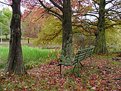 Picture Title - Empty Bench