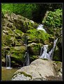 Picture Title - Moss, Rock and Water ...