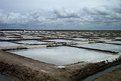 Picture Title - Salt Pans- natures gift to man kind
