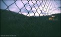 Picture Title - Fences