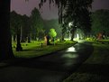 Picture Title - springdale at night.